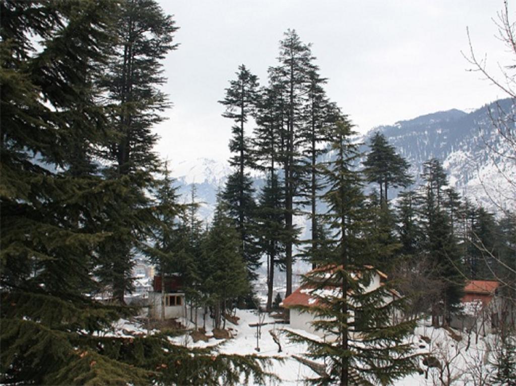 Hotel Greenfields Manāli Dış mekan fotoğraf